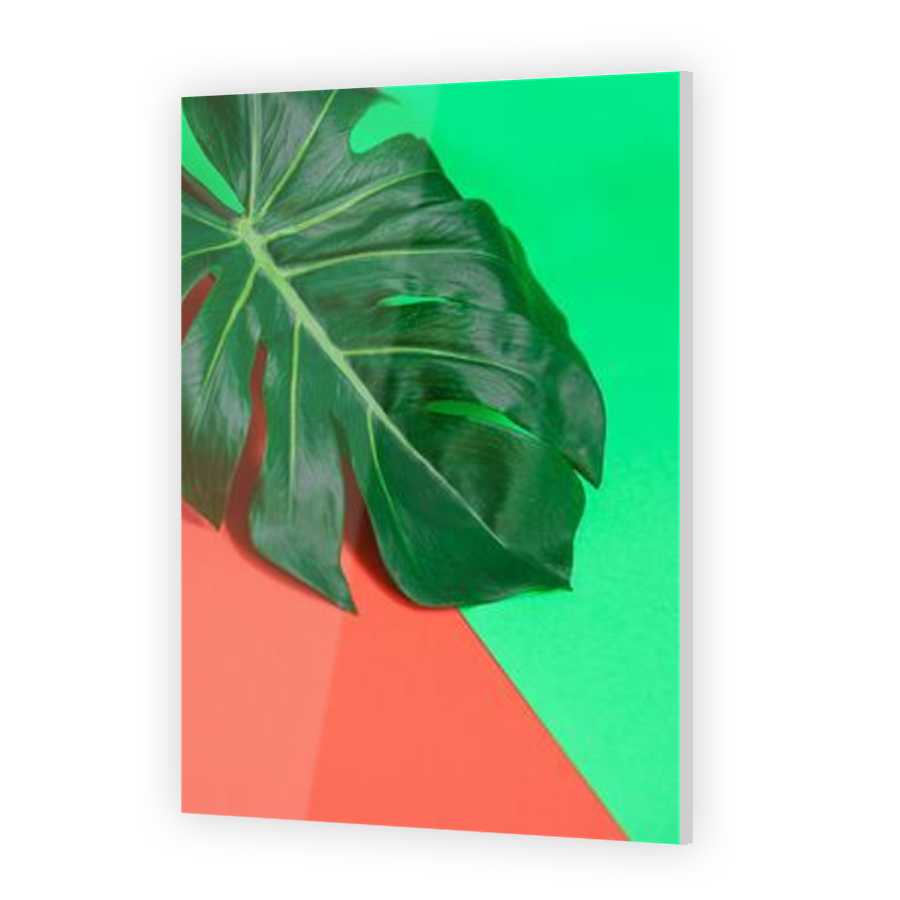 Thumbnail for Acrylic