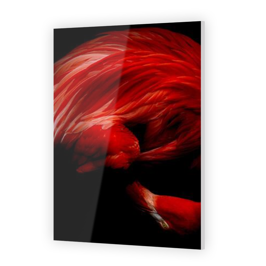 Thumbnail for Acrylic