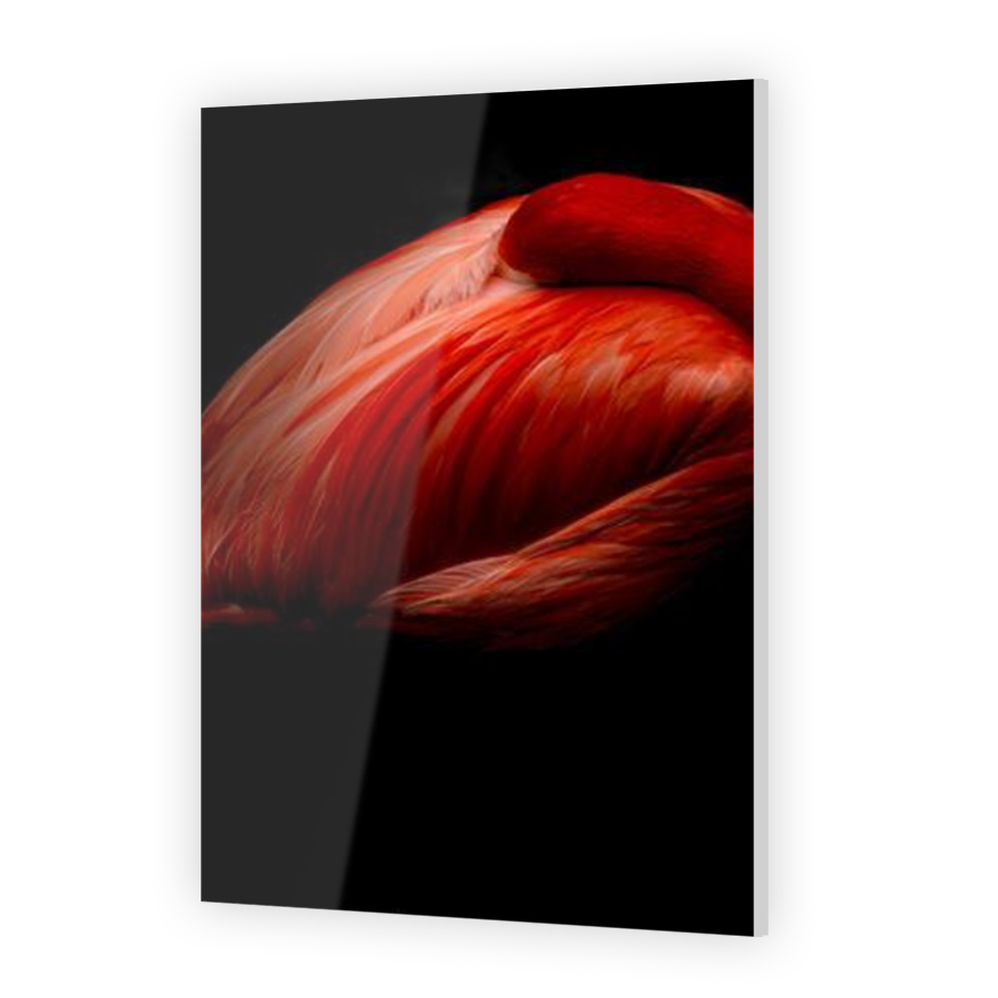 Thumbnail for Acrylic