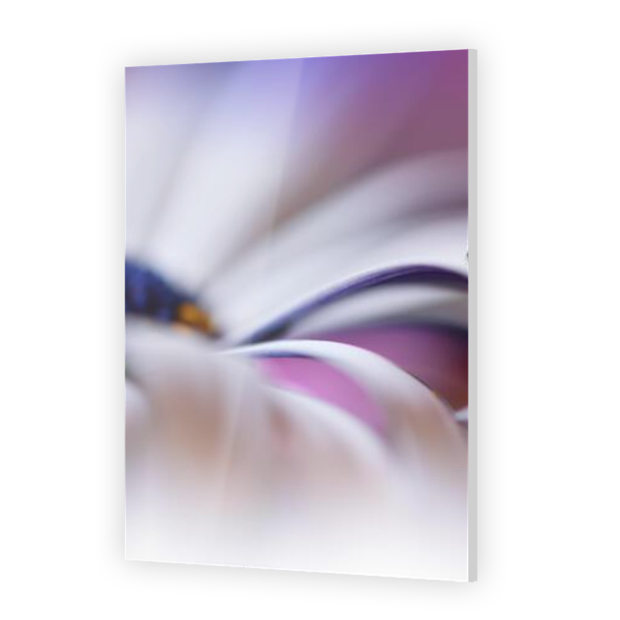 Thumbnail for Acrylic