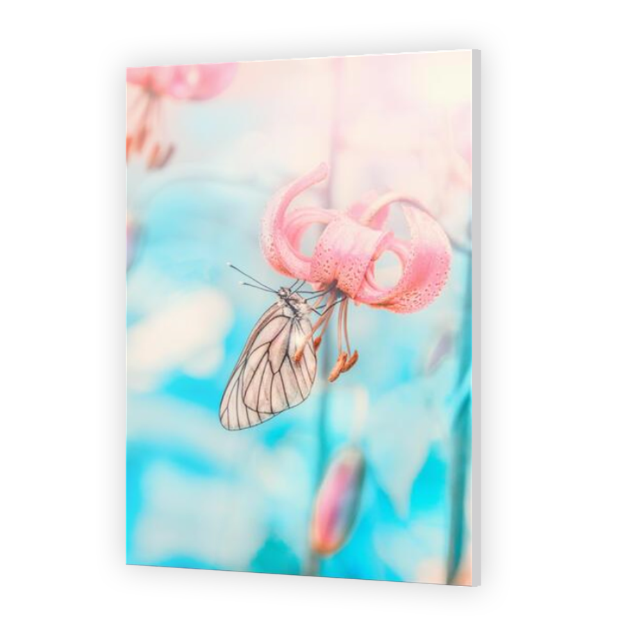 Thumbnail for Acrylic