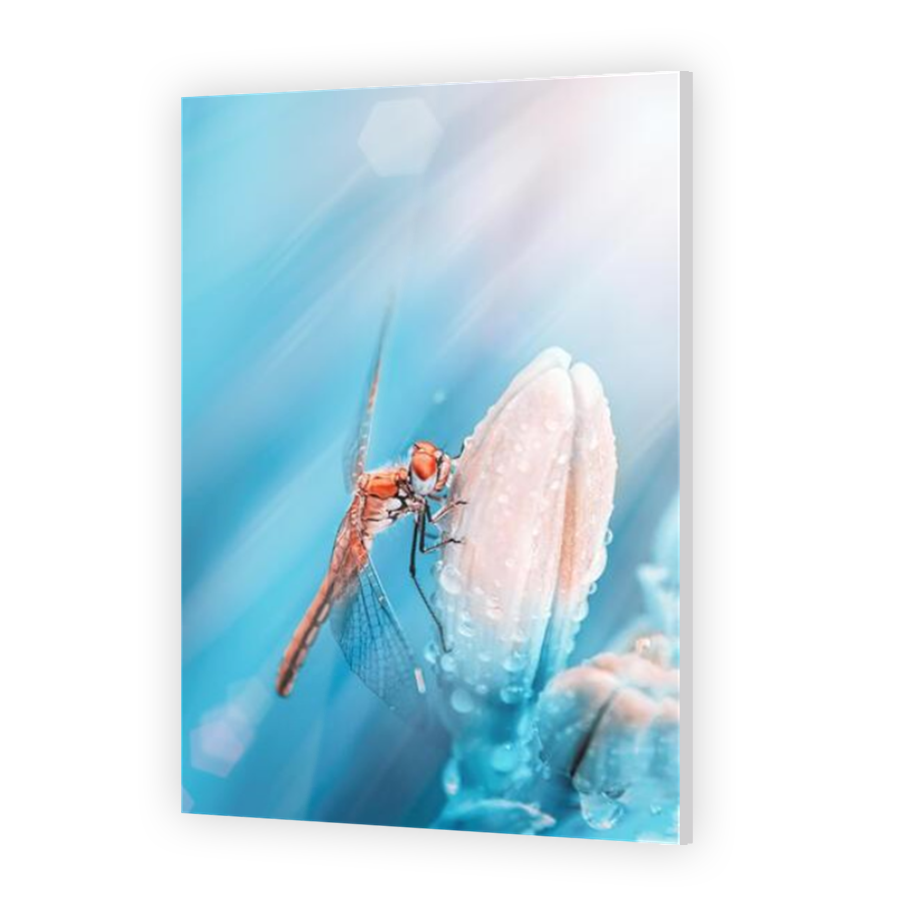 Thumbnail for Acrylic
