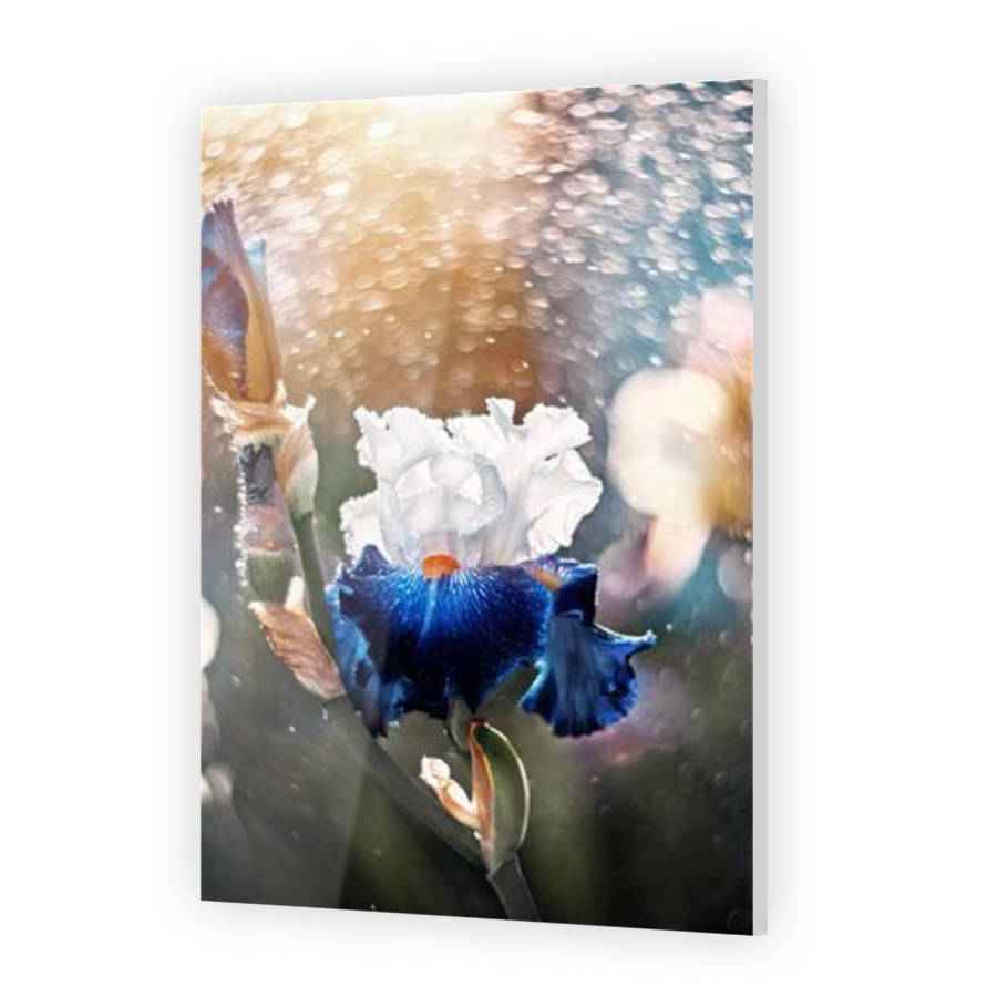 Thumbnail for Acrylic