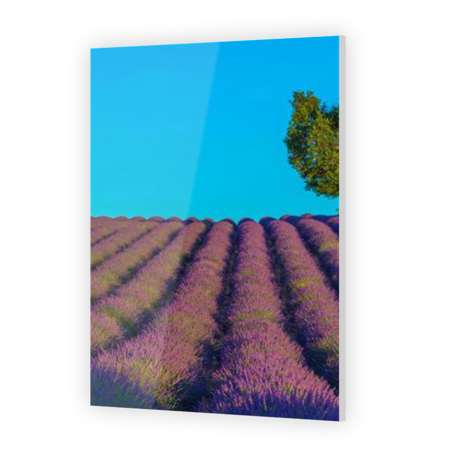 Thumbnail for Acrylic