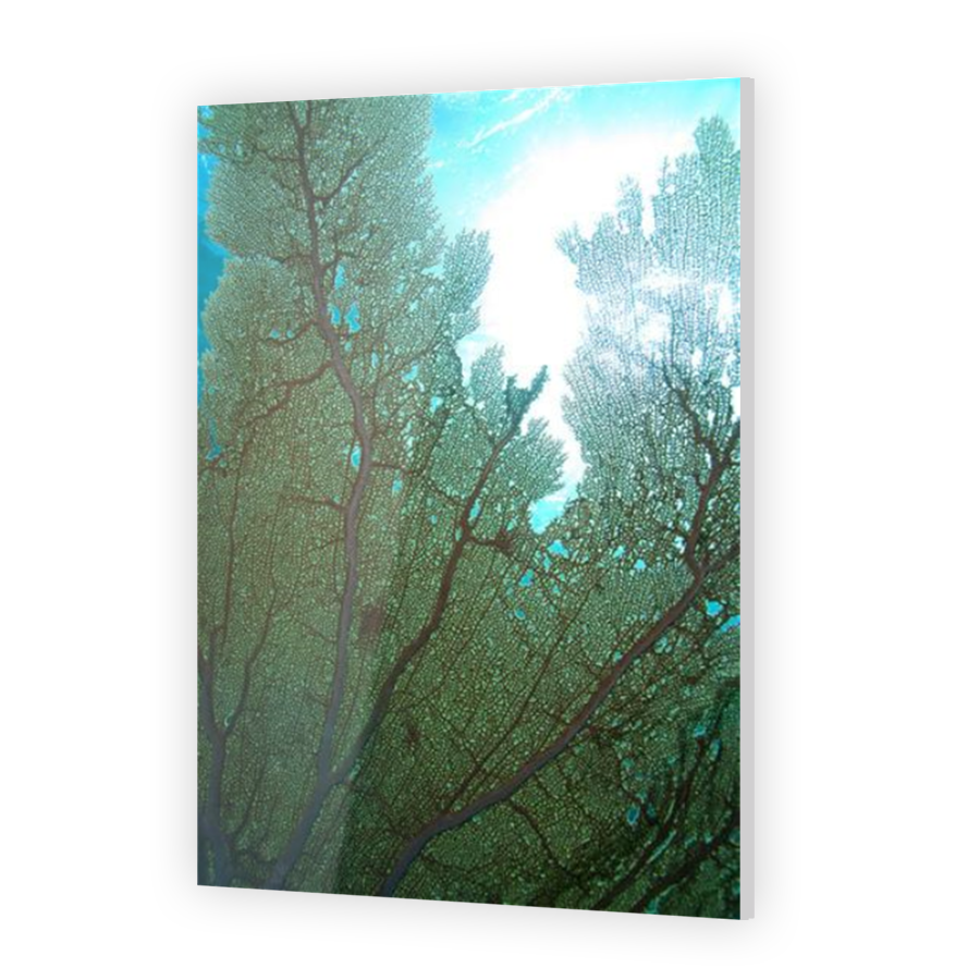Thumbnail for Acrylic