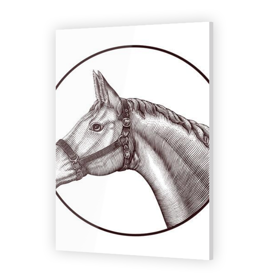 Thumbnail for Acrylic