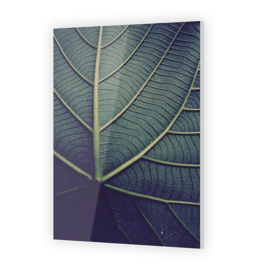 Thumbnail for Acrylic
