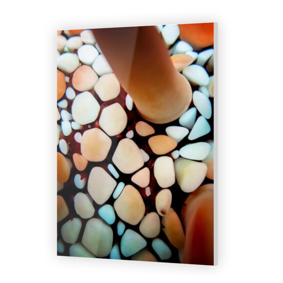 Thumbnail for Acrylic