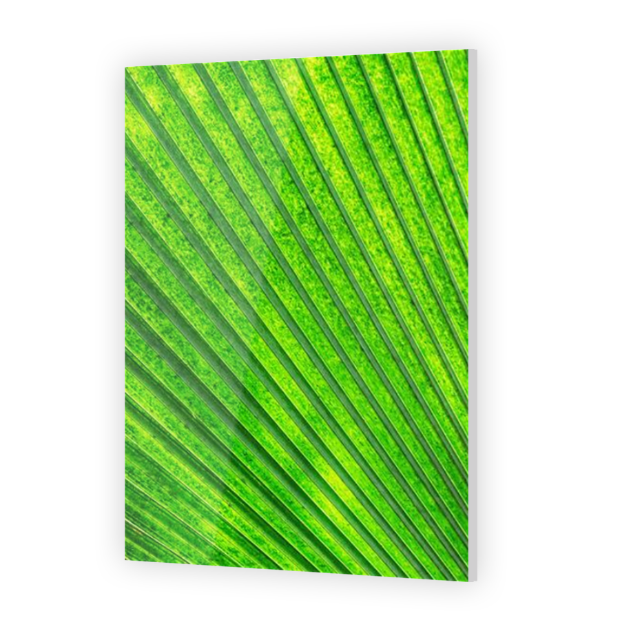 Thumbnail for Acrylic