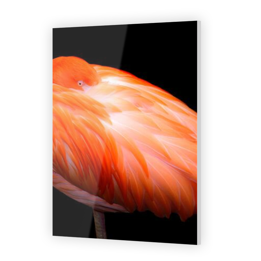 Thumbnail for Acrylic