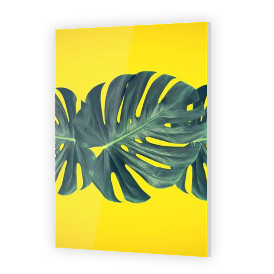 Thumbnail for Acrylic