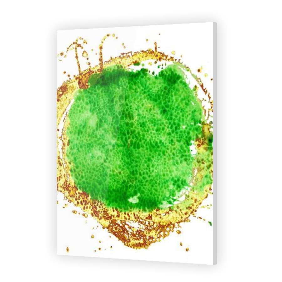 Thumbnail for Acrylic