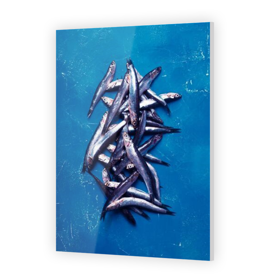 Thumbnail for Acrylic