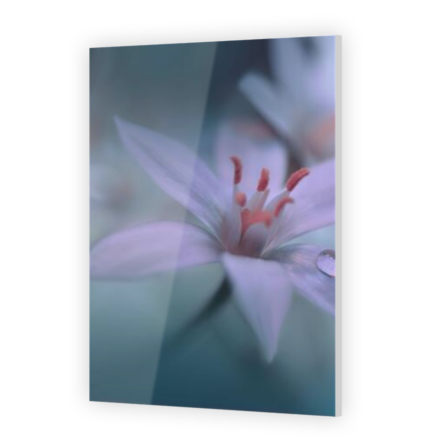 Thumbnail for Acrylic