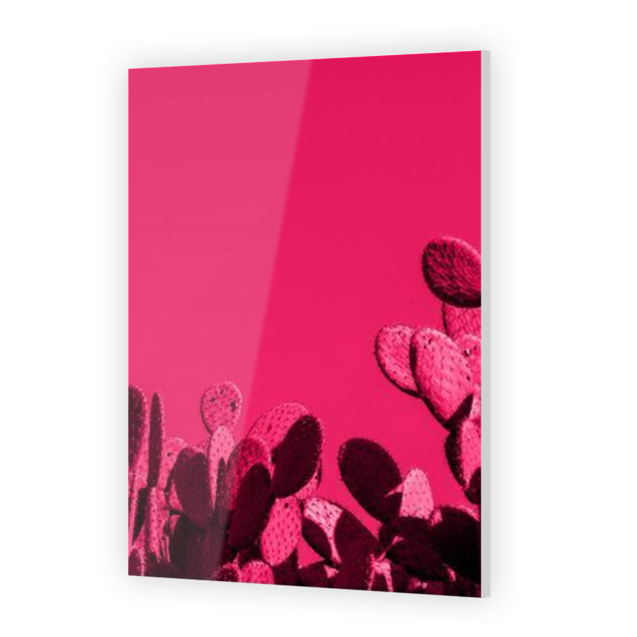 Thumbnail for Acrylic