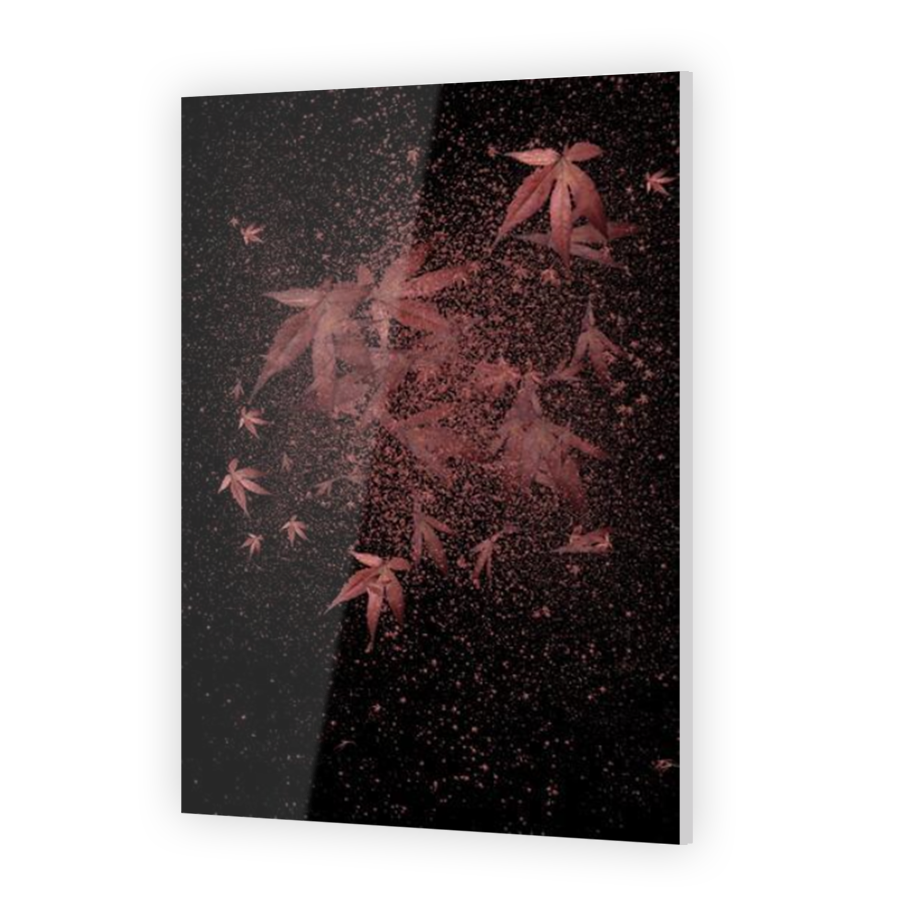 Thumbnail for Acrylic