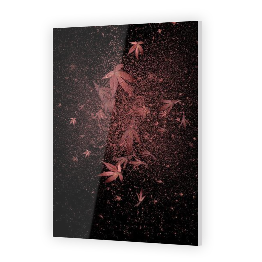 Thumbnail for Acrylic