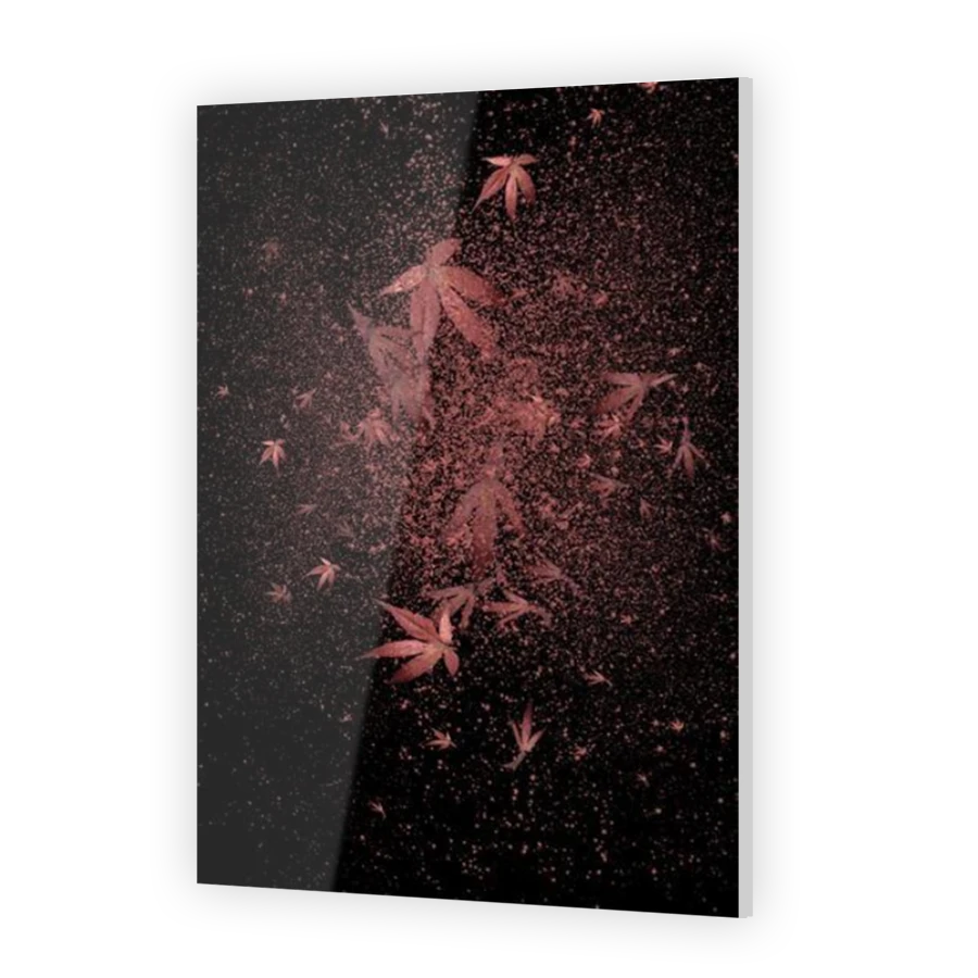 Thumbnail for Acrylic