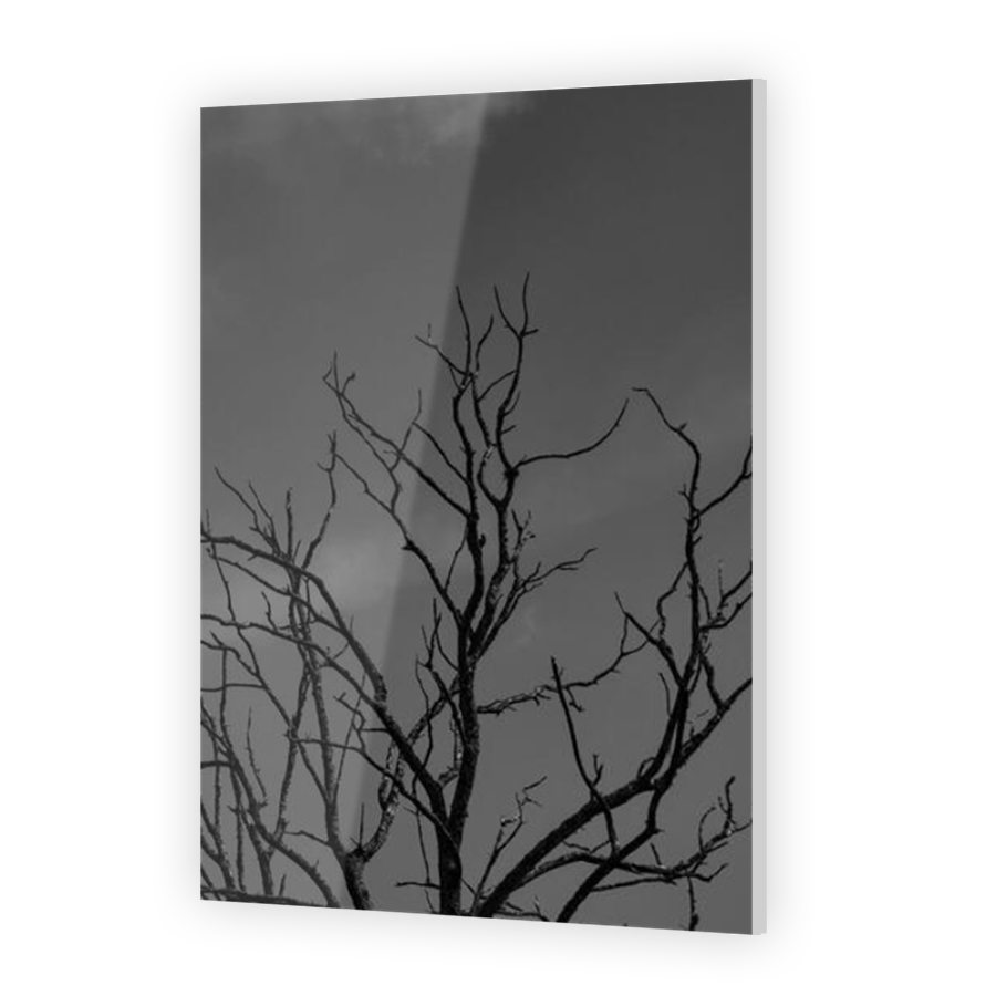Thumbnail for Acrylic