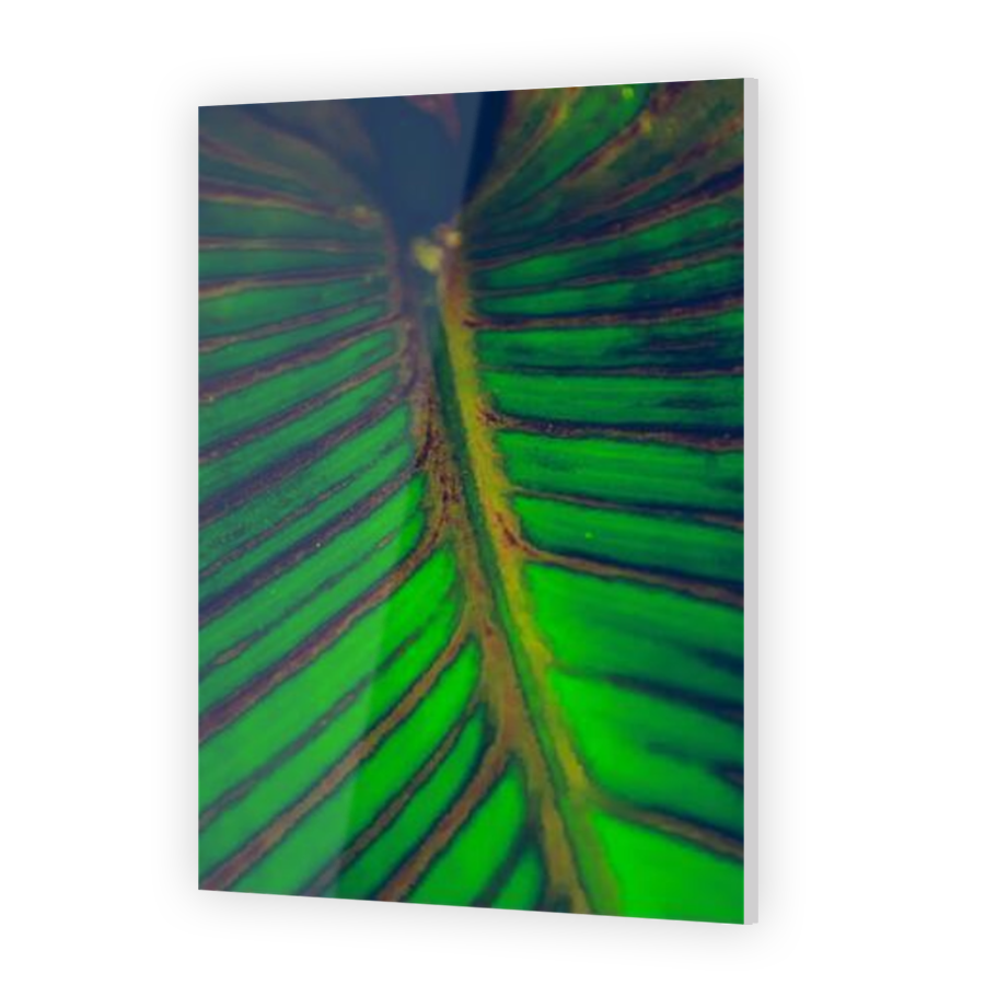 Thumbnail for Acrylic