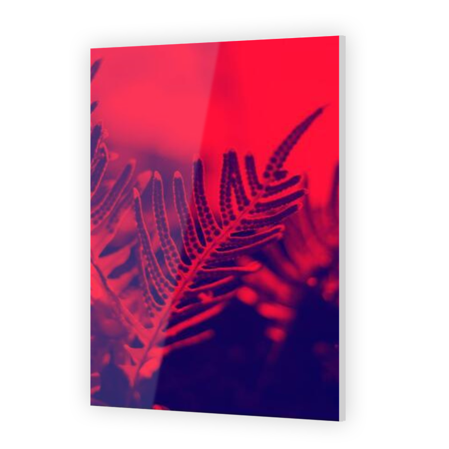 Thumbnail for Acrylic