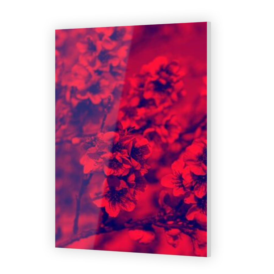 Thumbnail for Acrylic