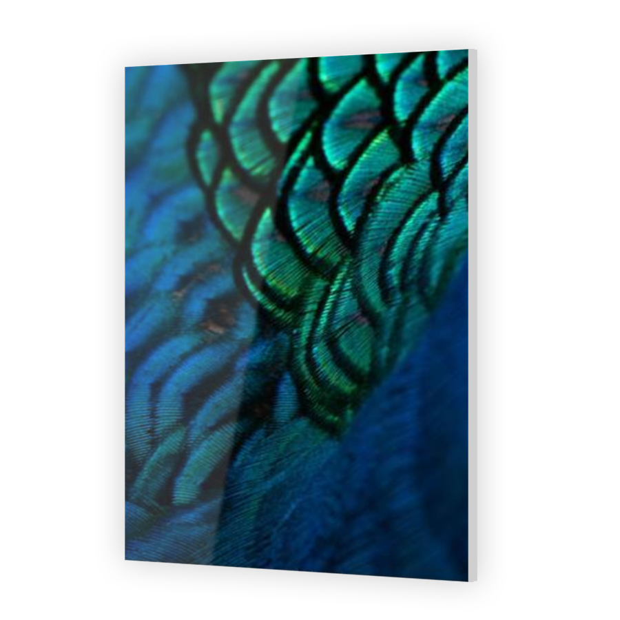 Thumbnail for Acrylic