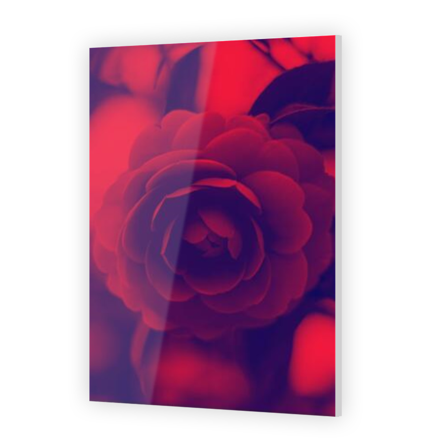 Thumbnail for Acrylic