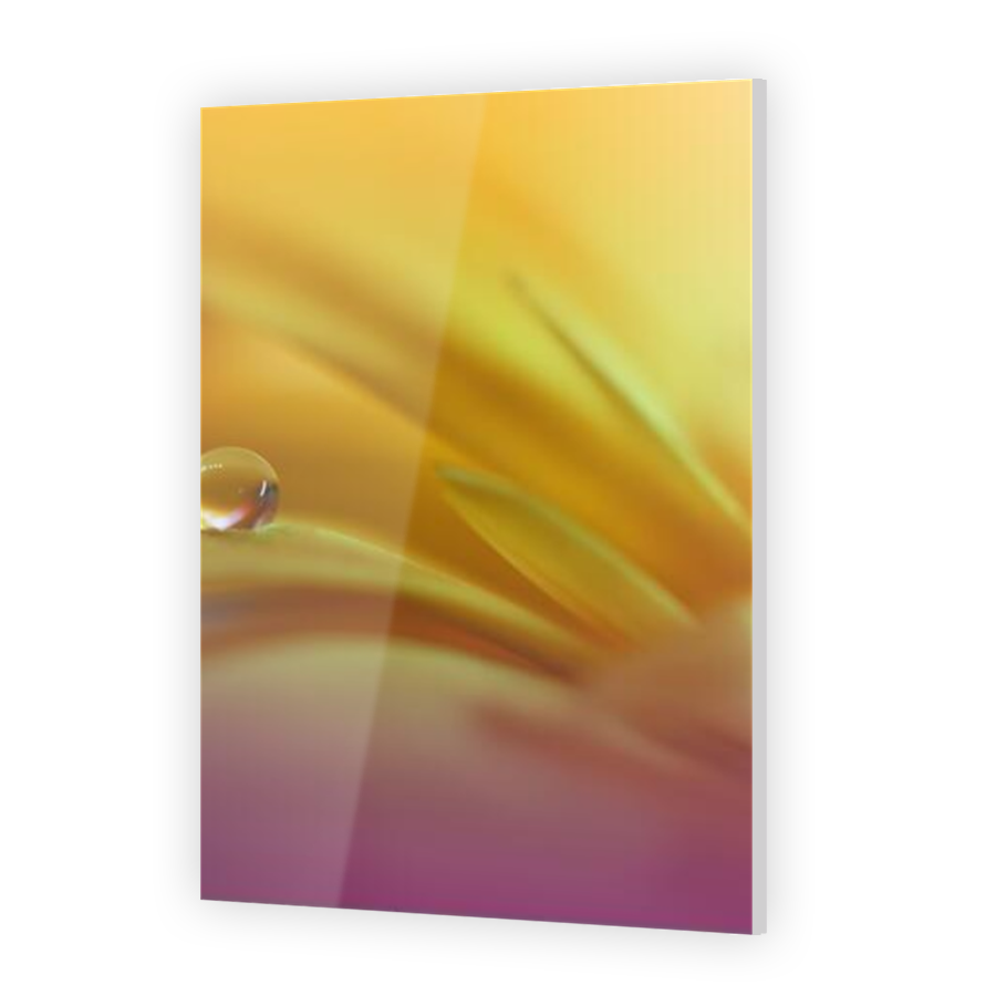 Thumbnail for Acrylic