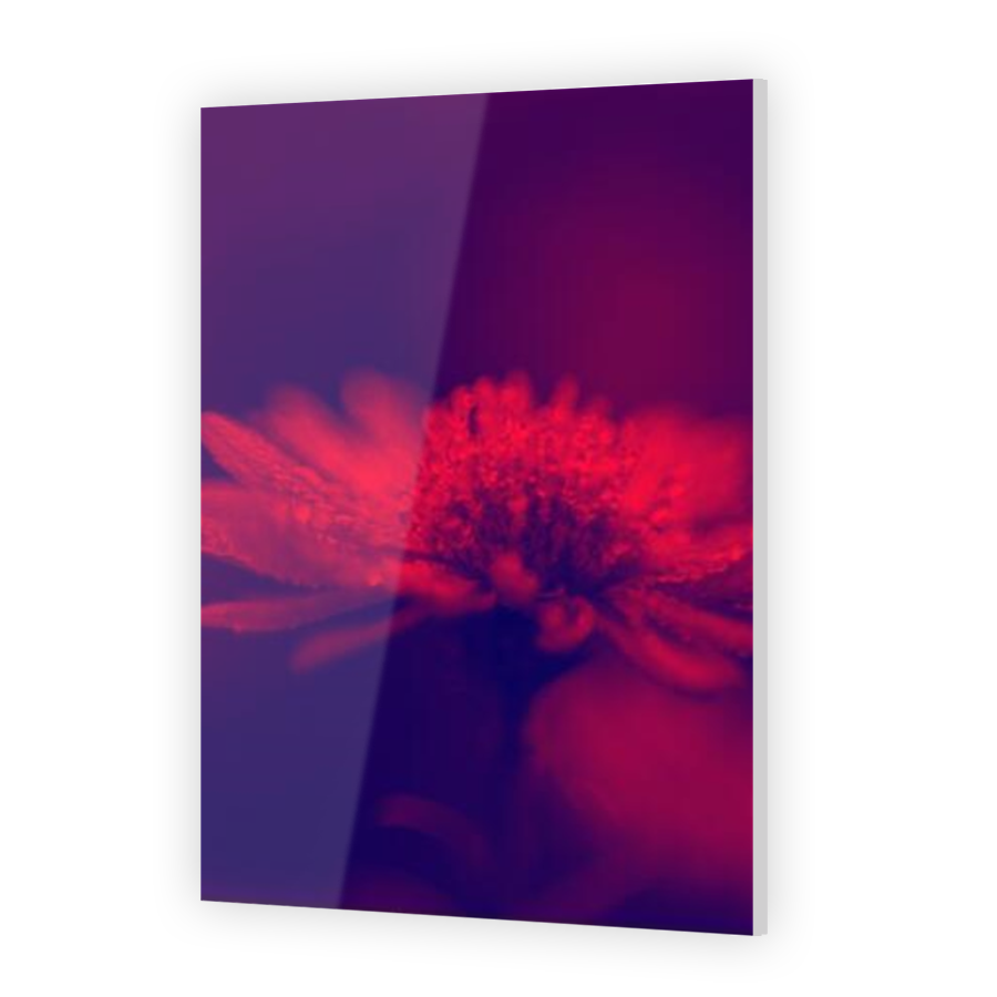Thumbnail for Acrylic