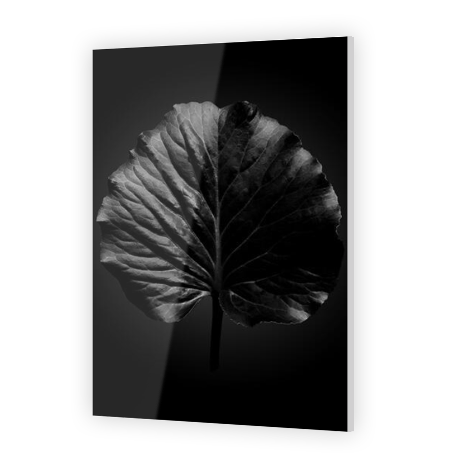 Thumbnail for Acrylic