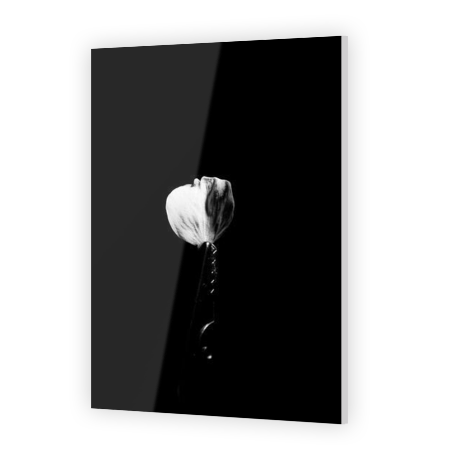 Thumbnail for Acrylic
