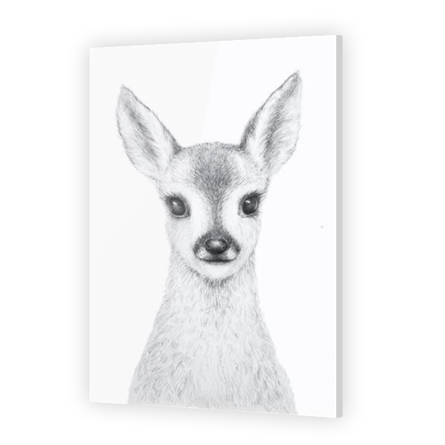 Thumbnail for Acrylic