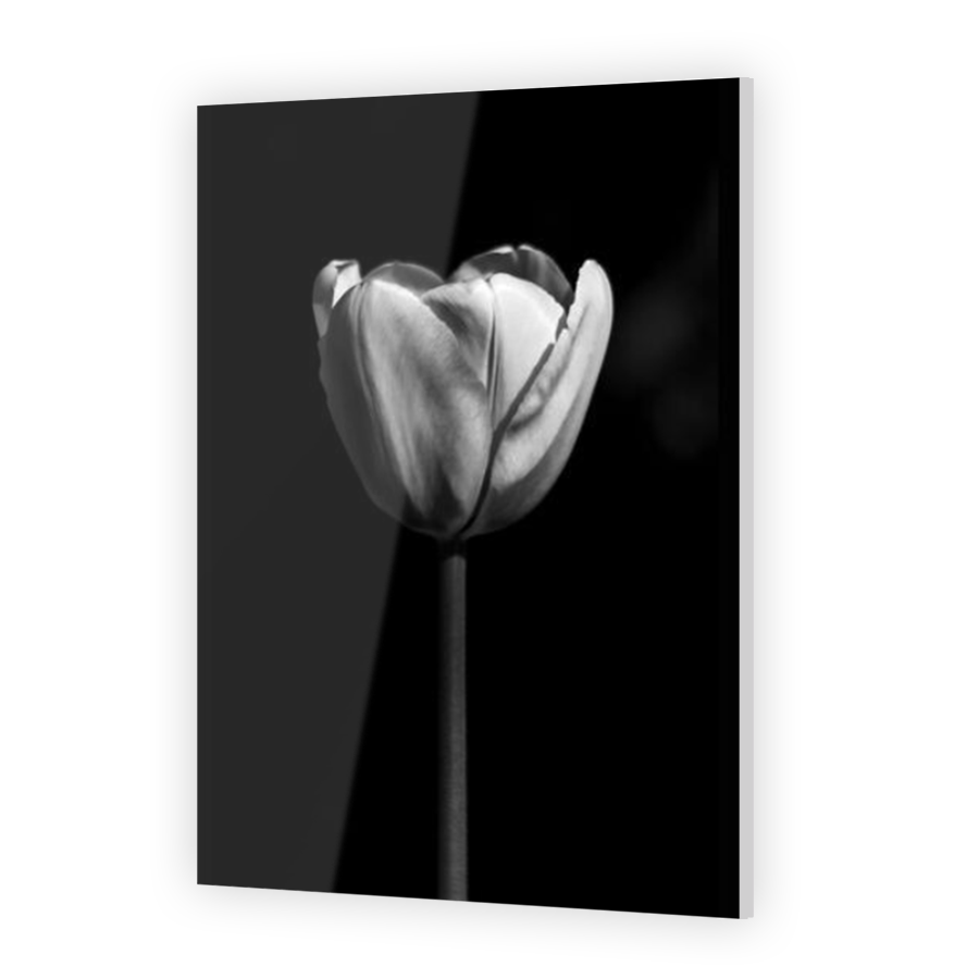Thumbnail for Acrylic