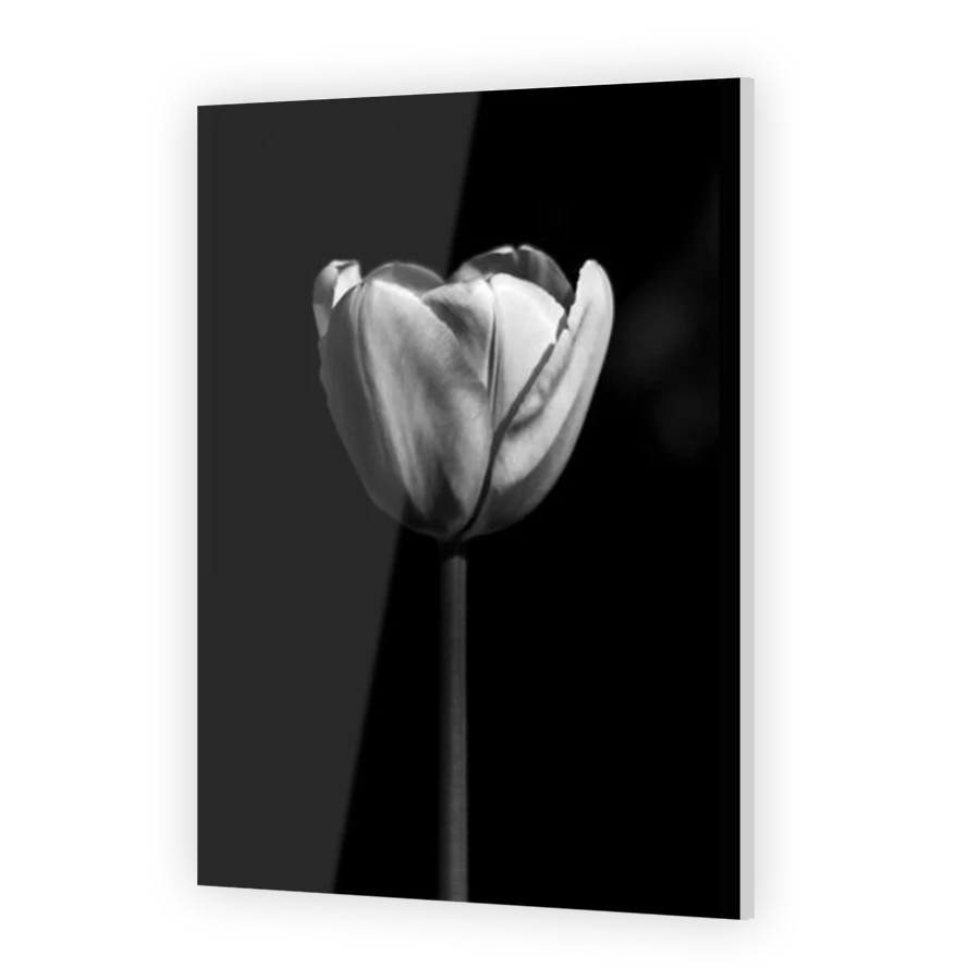 Thumbnail for Acrylic