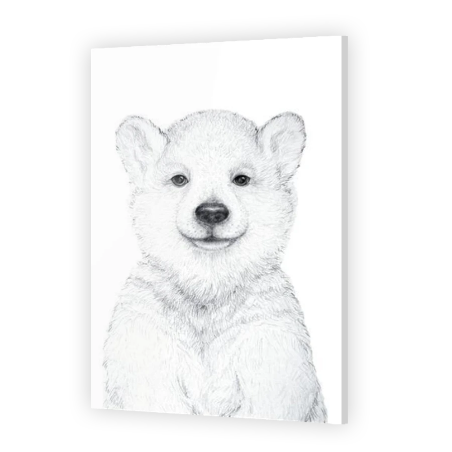 Thumbnail for Acrylic