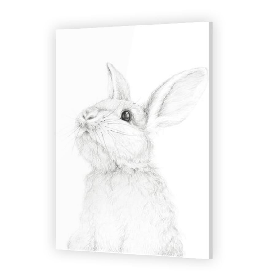 Thumbnail for Acrylic