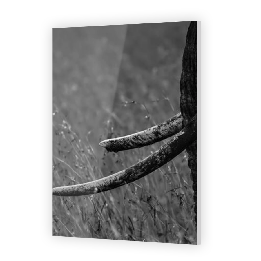 Thumbnail for Acrylic
