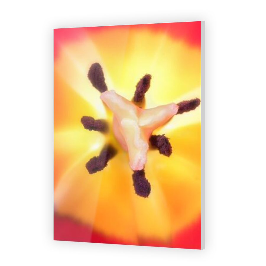 Thumbnail for Acrylic