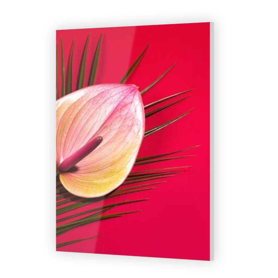 Thumbnail for Acrylic