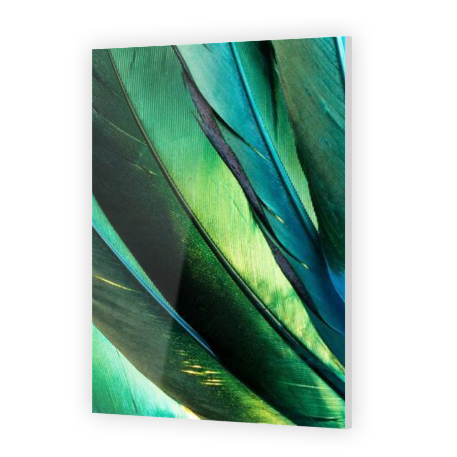 Thumbnail for Acrylic