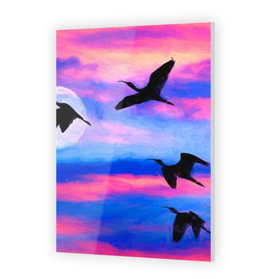 Thumbnail for Acrylic