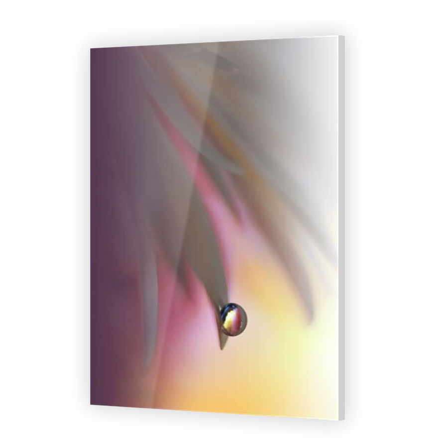 Thumbnail for Acrylic