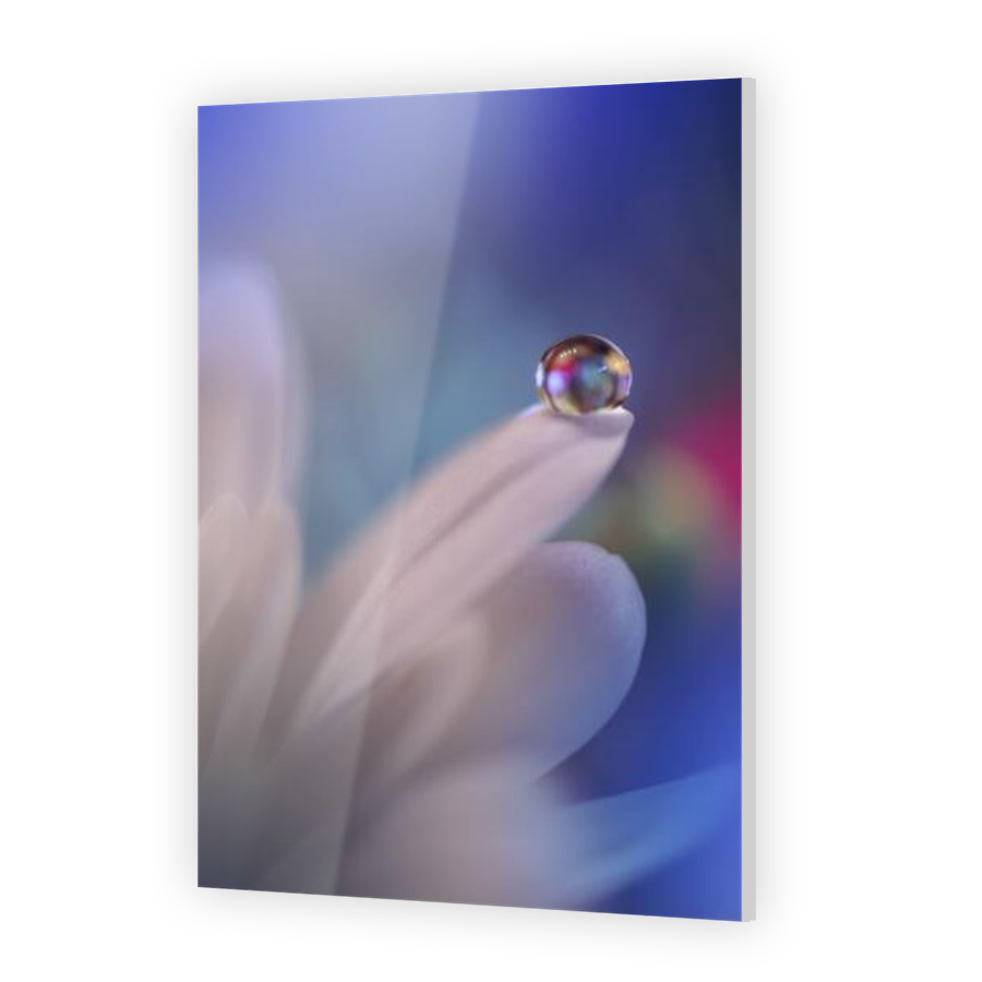 Thumbnail for Acrylic