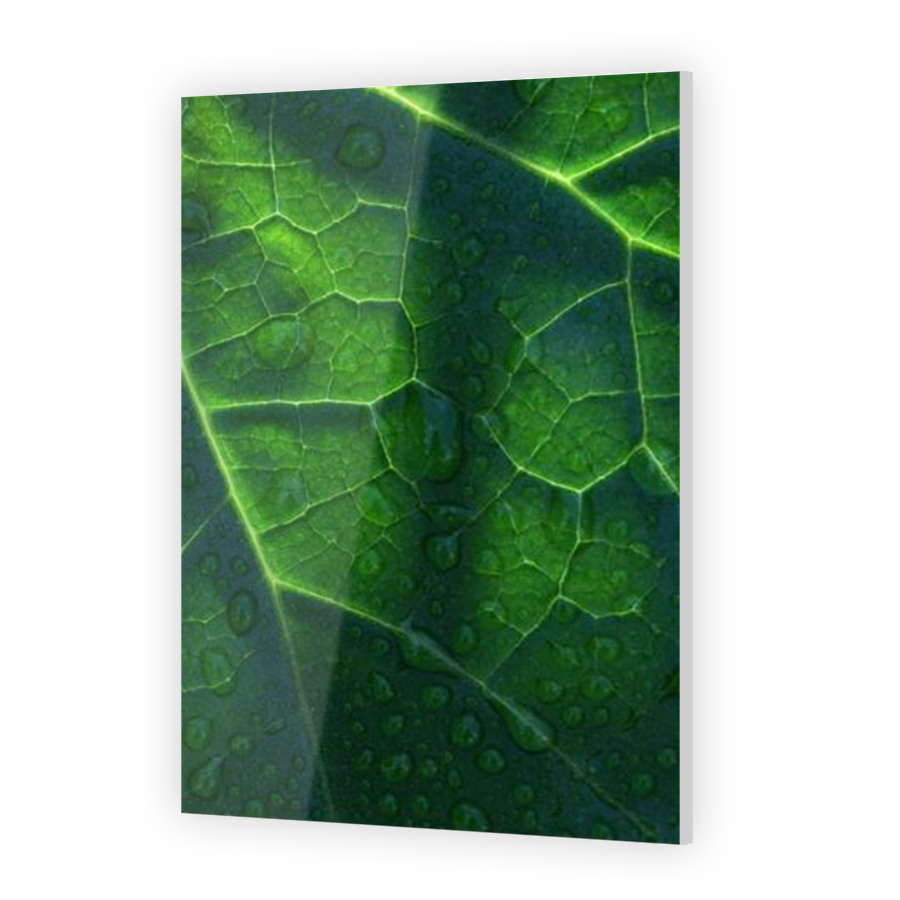 Thumbnail for Acrylic
