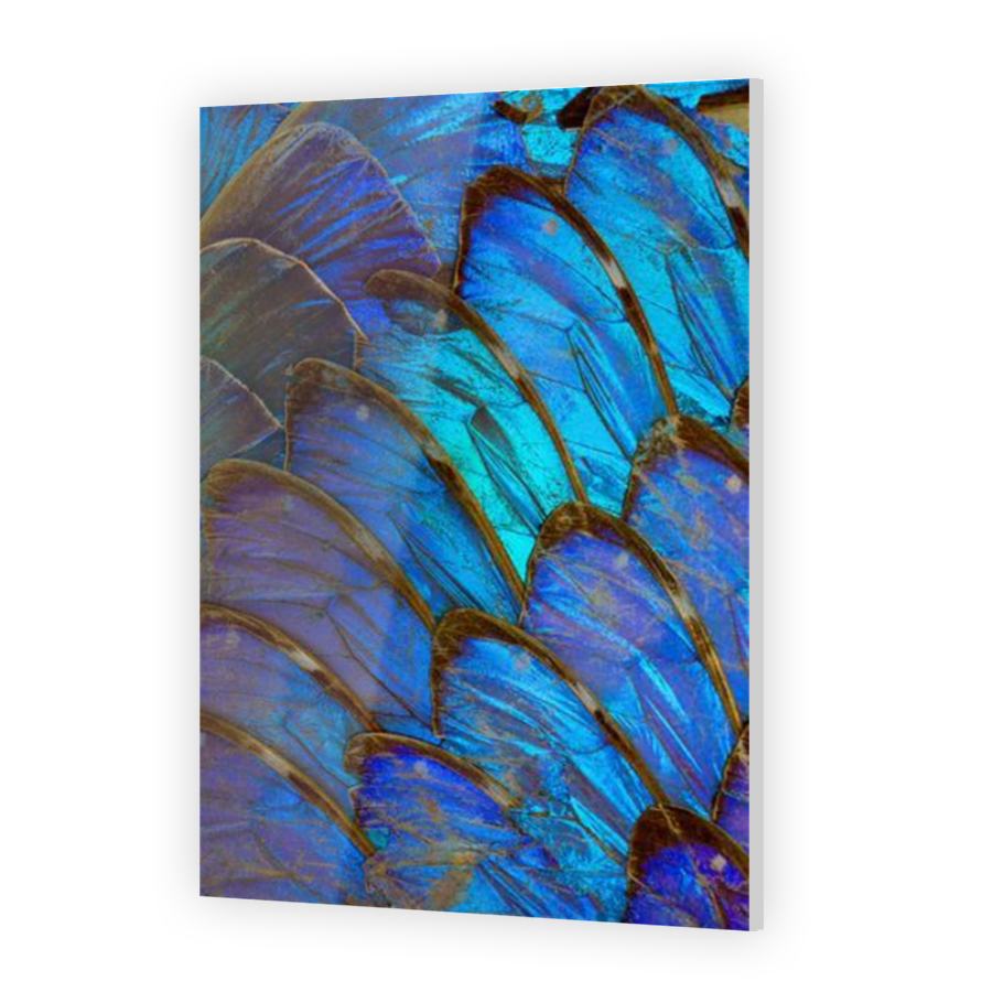 Thumbnail for Acrylic
