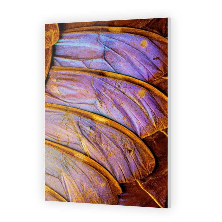 Thumbnail for Acrylic