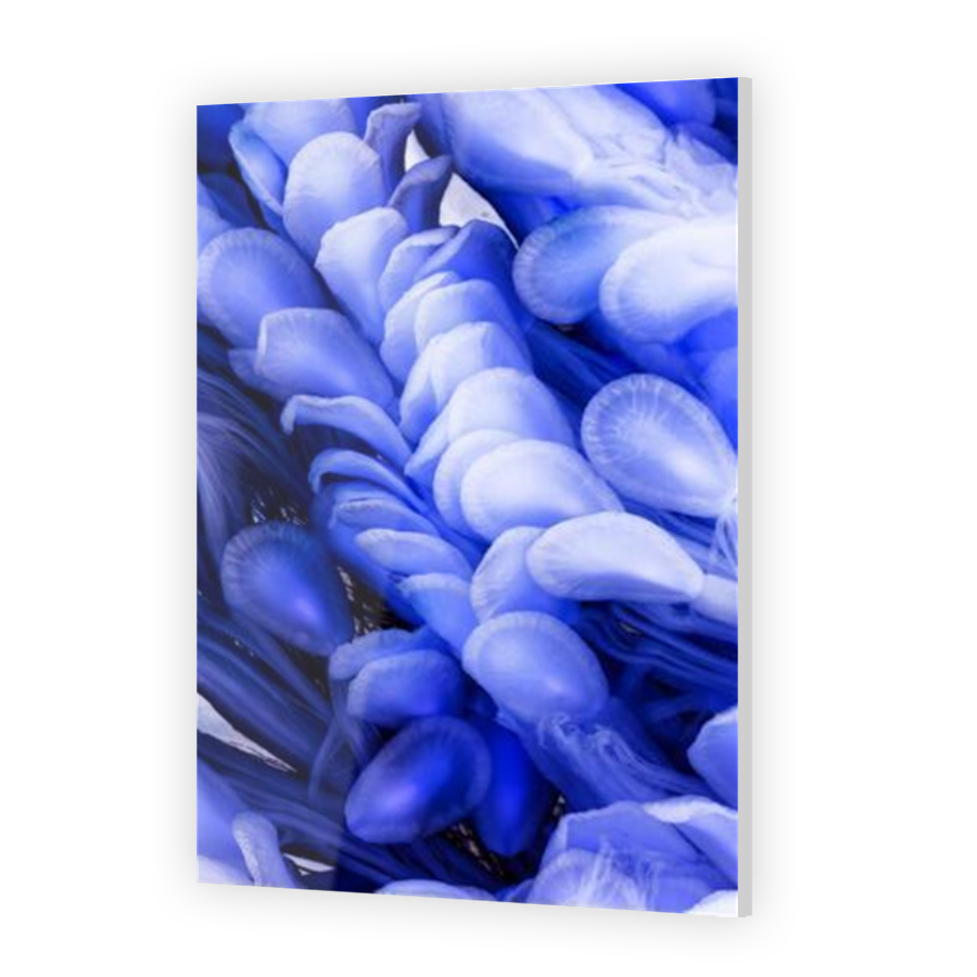 Thumbnail for Acrylic