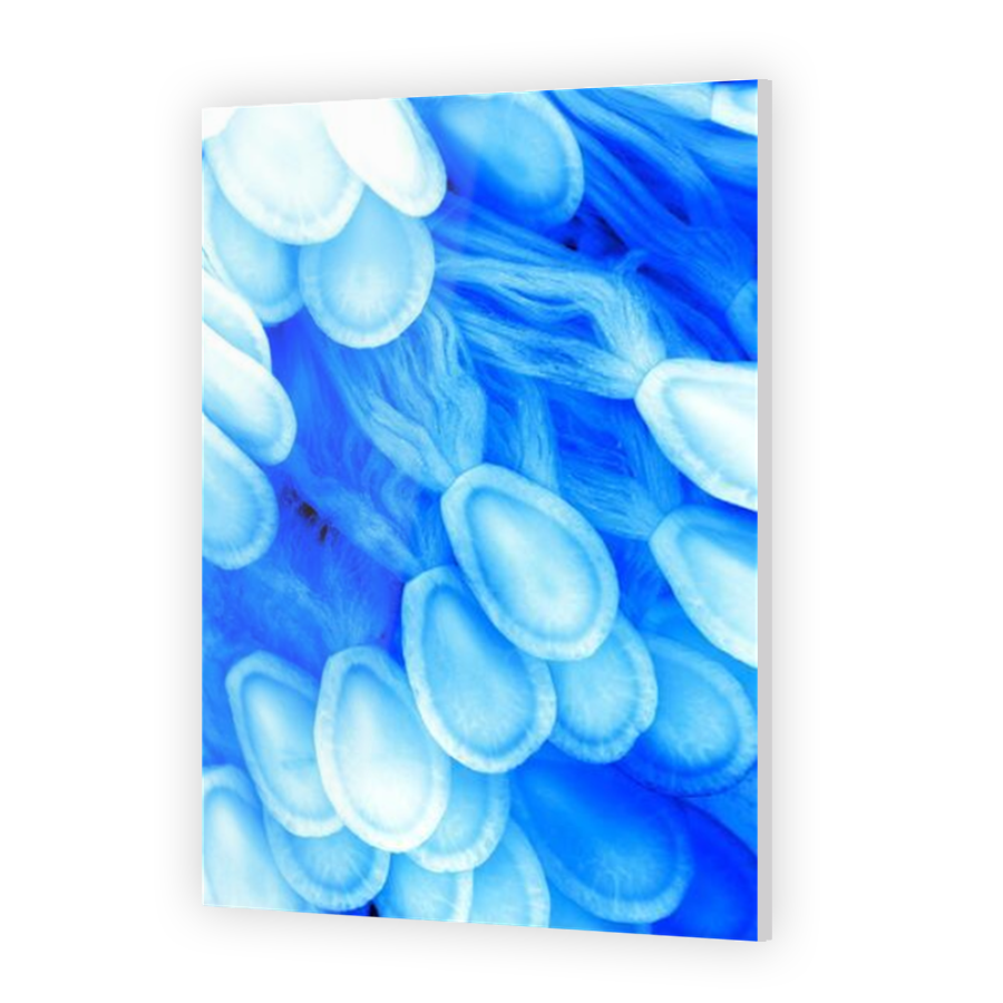 Thumbnail for Acrylic