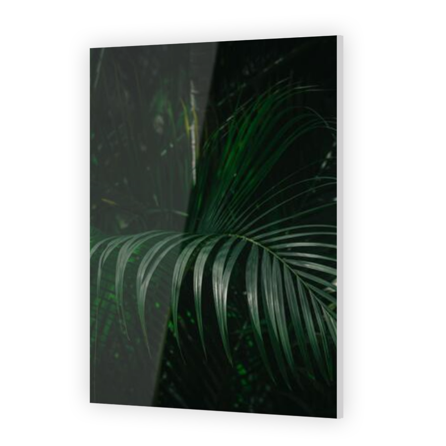Thumbnail for Acrylic